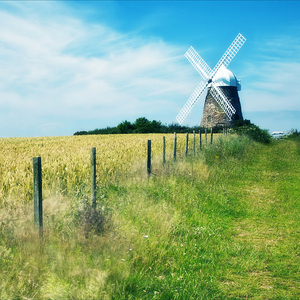 国产白袜脚足J棉袜在线观看
