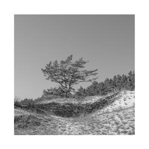 国产白袜脚足J棉袜在线观看
